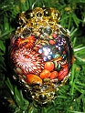 H15 128 $12.00